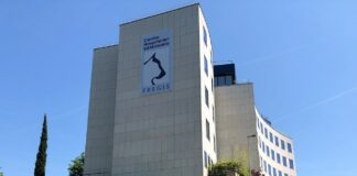 Transformer les râleurs en fans : le cas Frégis, ou la magie de l’expérience client vétérinaire